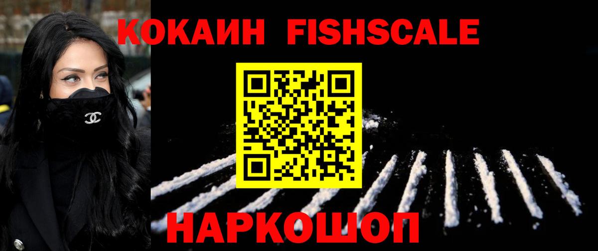 Мичуринск  купить наркотики цена  Вход с VPN  COCAIN FishScale  Кокаин 