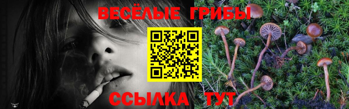 Галлюциногенные грибы MAGIC MUSHROOMS Мичуринск